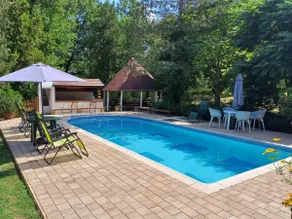 Unique Country Villa near Budapest - Image 2