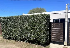 Colinas House - Image 2
