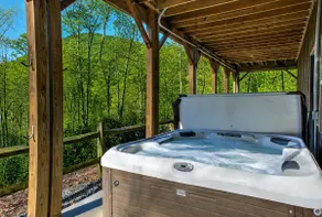 FishTop Cabin; Luksuriøs, Saluda, søer, Hot Tub, ildsted! TIEC-hesteshows. - Image 2