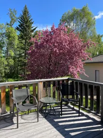 Country Cottage Minutes from Edmonton - Image 3