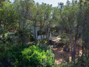 CAPITANA 8 Bedroom Villa with Direct Access to the Beach and Vast Garden - Image 4