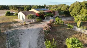 Finca Salord - Image 2