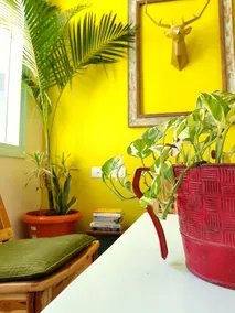 Modern Sunshine Villa | 3BHK for Longer Stays - Image 2