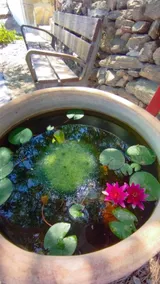 Casa Esparragueras - Image 2