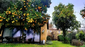 Casa de Vilar de Rei, a tranquilidade do mundo rural - Image 2