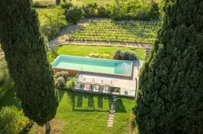 Chianti, elegant barn among vineyards and pool - Image 5