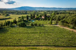 Chianti, elegant barn among vineyards and pool - Image 3