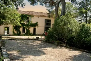 MAS SALINDRE - AUTHENTIC FARMHOUSE IN LITTLE CAMARGUE - Image 2