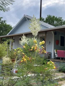Artist's Hm. in Hip Bouldin Creek Area - Image 3