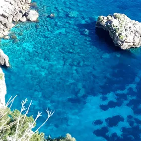 La Casetta del Porto - Capri - Image 5