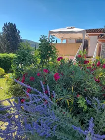 2-person gîte in a peaceful haven in the Cévennes - Image 5