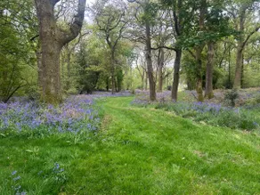 In grounds of dower house on large country estate - Image 4