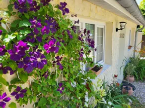 Au Petit Olivier • Bed and breakfast in a rural setting - Image 4