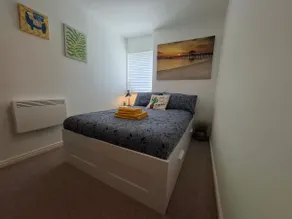 Cosy Cactus Flat Paisley UWS UNI Glasgow Airport - Image 4