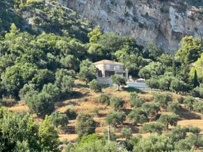 Old Olive house - Image 3