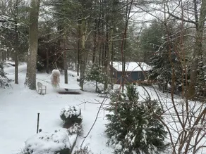 Lakeside Cabin - Image 3