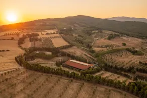 La Baciosa - Image 5