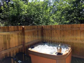 BlueBell 16-Hot Tub-Woodland Lodges-Pembrokeshire - Image 2