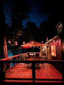 Charming Cabin Retreat-5 Minutes from Town-Dogs OK! - Image 2