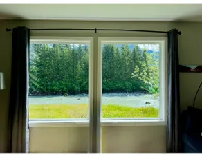 River House: On Mendenhall River/Glacier(4 min dr) - Image 5