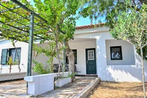 The small vineyard of Faros - Image 2