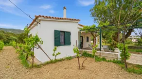 The small vineyard of Faros - Image 5