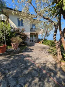 House of the olive tree - Image 3