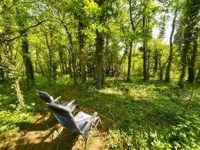 Charming house in the woods with private wellness - Image 3