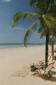 Sustainable loft and beach support Almar Trancoso - Image 5