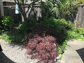 KV garden Cottage/ private retreat - Image 5