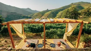 Grapegarden - Quinta do Vale da Ermida - Image 2