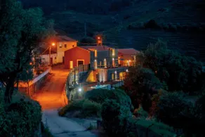 Grapegarden - Quinta do Vale da Ermida - Image 3