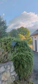 Emma's cottage in the Ossau Valley, rated 3* - Image 4