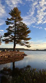Sauna, Hiking, & Walk to Beach - Image 5