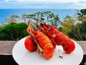 Ocean & Starry Views! BBQ Deck. Near Shimoda. - Image 5