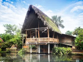 Coati Lodge Misahualli - Image 3
