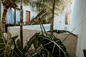 MADRE Holbox 1 Bedroom Deluxe Apartment w/ Balcony - Image 2