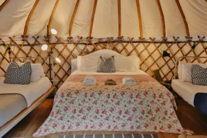 Yew - Yurt - Image 3
