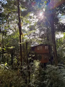 Highest Eco-Cabin in Panama! Jungle-lodge - Image 3