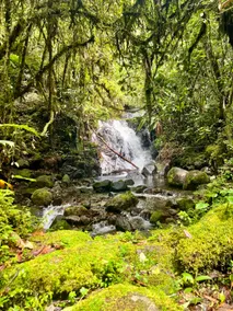 Highest Eco-Cabin in Panama! Jungle-lodge - Image 2