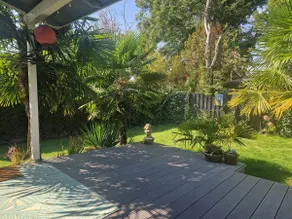 Palm Tree beach house IJsselmeer Lemmer - Image 4