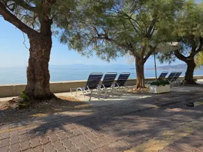 Garden apartment 20m from the sea - Image 3
