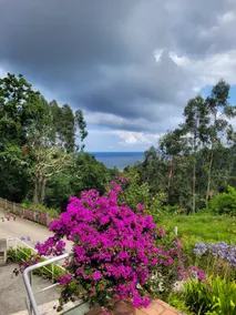 Designer House with Ocean Views | La Griega Beach - Image 5