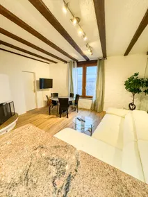 A3r - 2 bed room Zürich downtown - Image 4