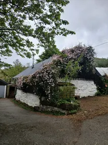 Two Stags Cottage - Image 5