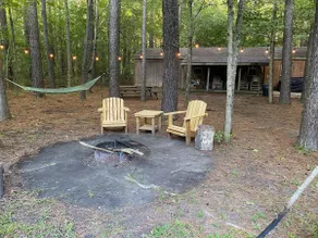 Little Shack In The Woods - Image 2