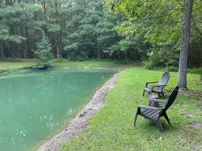 Little Shack In The Woods - Image 4