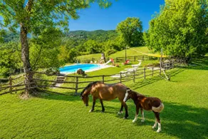 Villa Bellavista Large Private Pool WiFi - Image 3