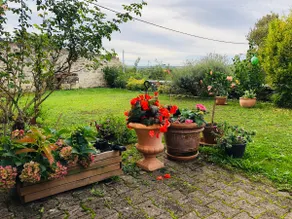 The Rose Garden of Saint-Rémy – La Rose Burgundy - Image 5