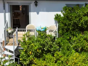 LIVIN Hydra Garden Suite - Image 2